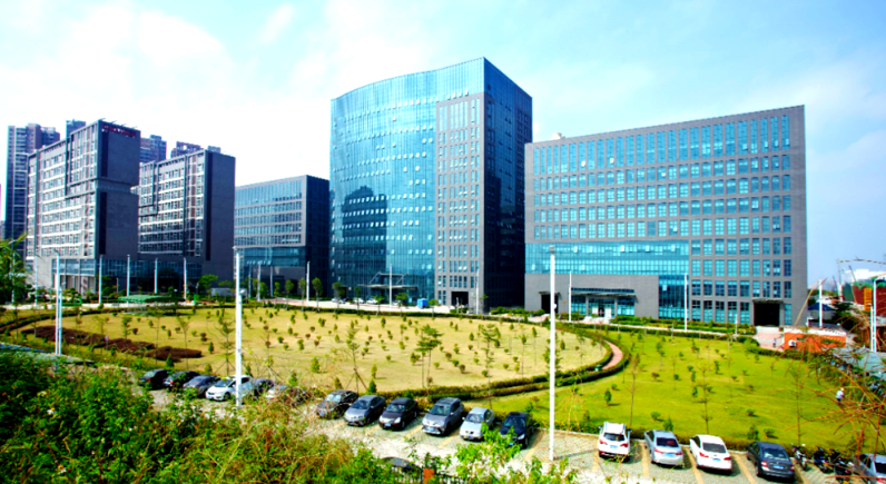 武汉洪山区日用百货零售业数字化转型趋势分析